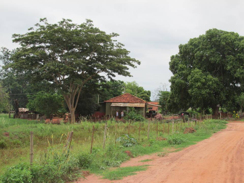 Chácara, à venda, por R$ 300.000,00 - Zona rural - São Francisco/SP — foto 3