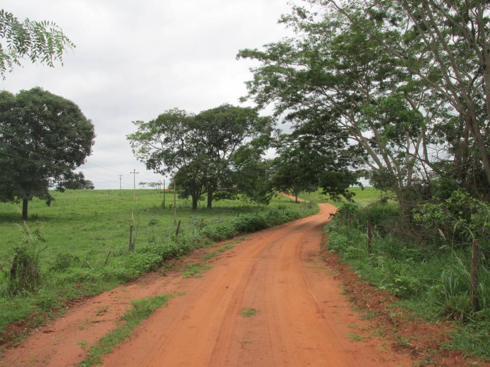 Chácara, à venda, por R$ 300.000,00 - Zona rural - São Francisco/SP — foto 2