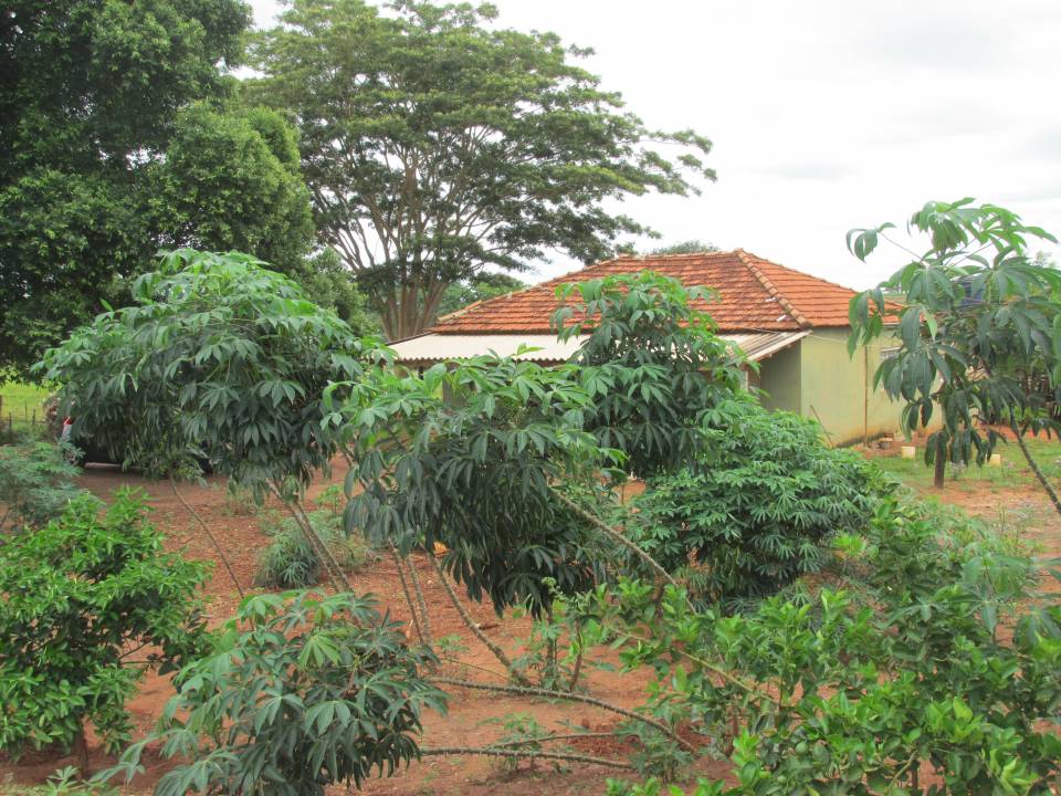 Chácara, à venda, por R$ 300.000,00 - Zona rural - São Francisco/SP — foto 4