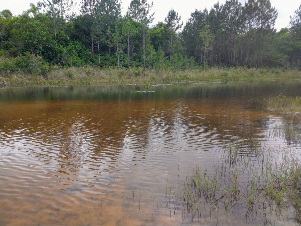 Terreno, à venda, 300 m², por R$ 50.000,00 - Zona rural - Bofete/SP — foto 3