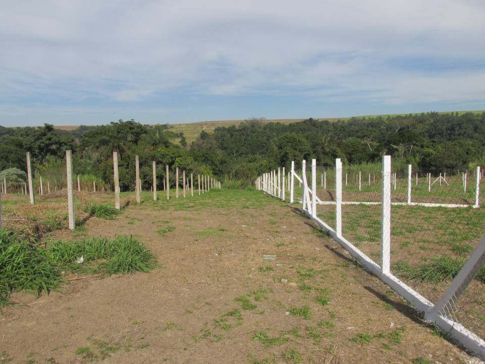 Chácara, à venda, por R$ 55.000,00 - Zona rural - Capivari/SP — foto 2
