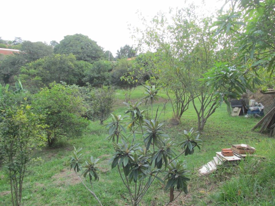 Chácara, à venda, 5.500 m², por R$ 350.000,00 - Zona rural - Piracicaba/SP — foto 3