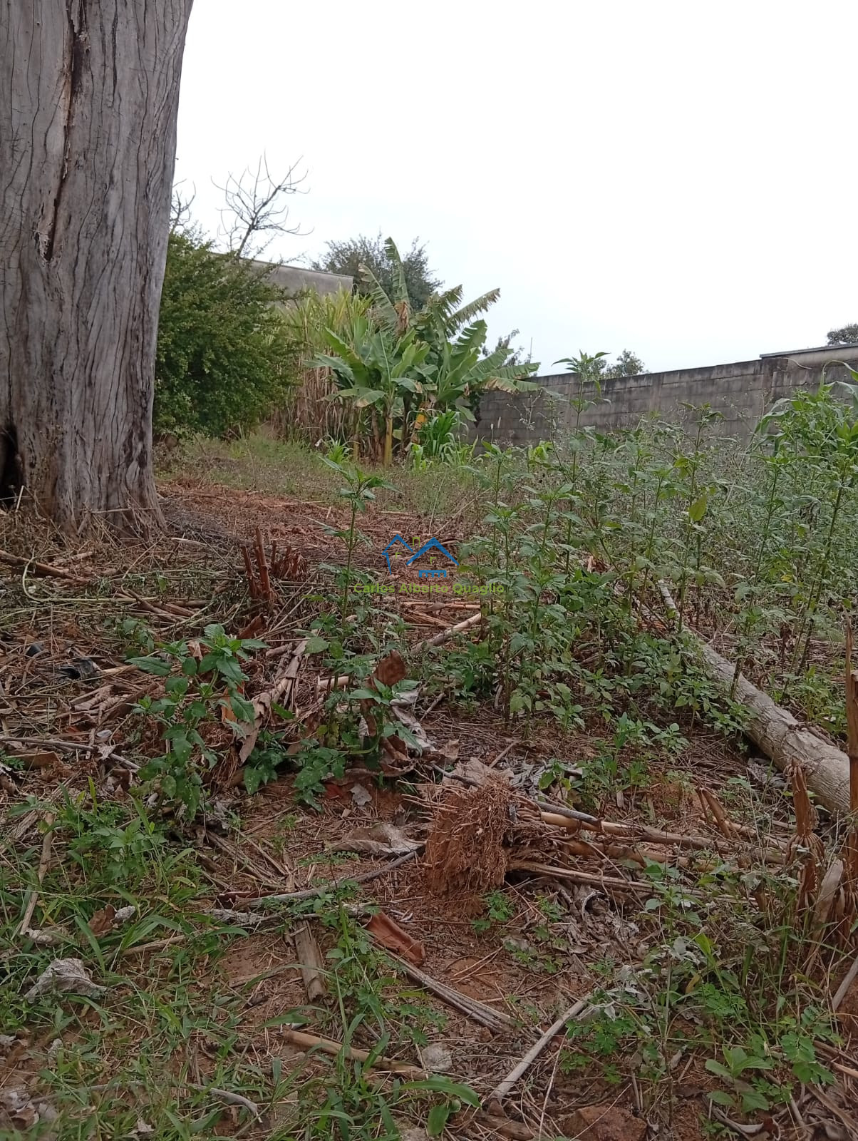 Terreno / Lote em Monte Carlo
