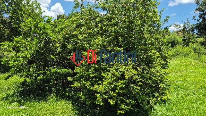 CHACARA RESIDENCIAL em limeira - SP, Pires de baixo — foto 4