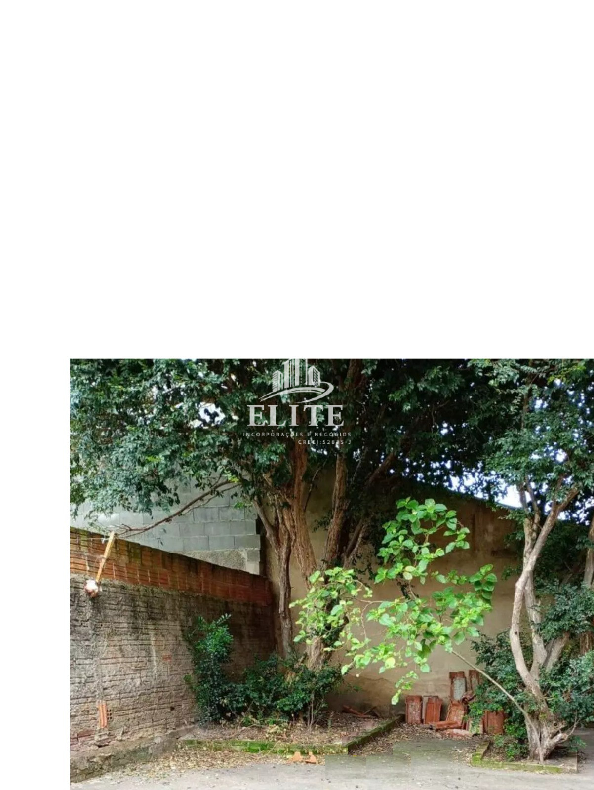 Excelente oportunidade — foto 4