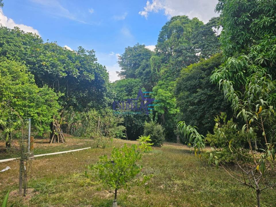 Chácara, à venda, 20.000 m², por R$ 800.000,00 - Bairro dos Lopes - Limeira/SP — foto 3