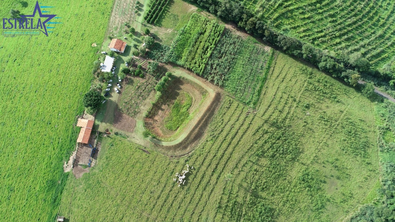 Sítio, à venda, por R$ 4.500.000,00 - Bairro dos Pires - Limeira/SP — foto 4