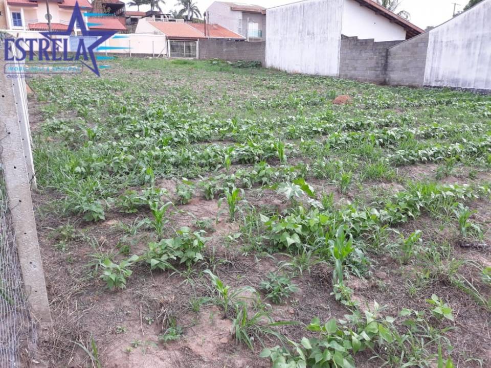 Terreno, à venda, 834 m², por R$ 495.000,00 - Praia dos Namorados - Americana/SP — foto 4