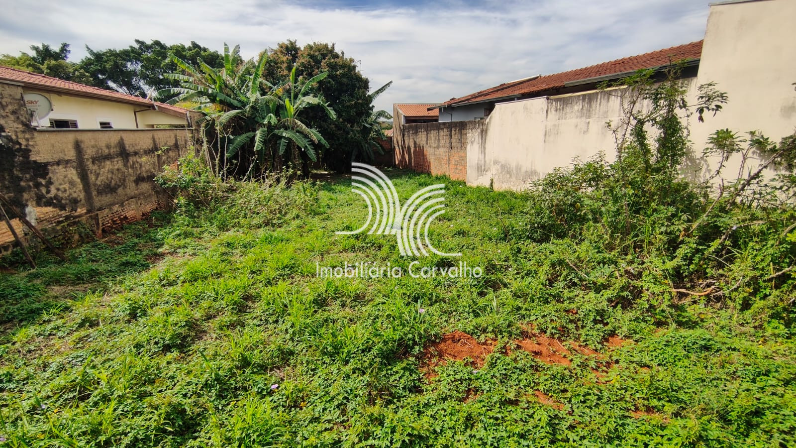 Terreno / Lote em Vila Grego II