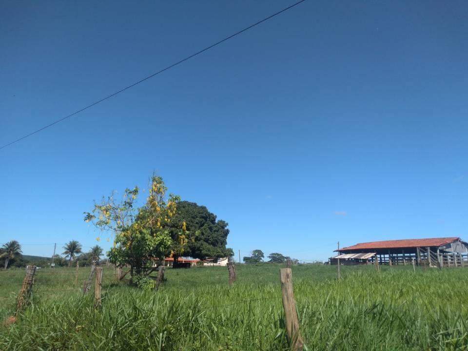Sítio, à venda, 20.000 m², por R$ 810.000,00 - Zona rural - Fernandópolis/SP — foto 4