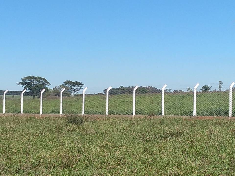 Sítio, à venda, 20.000 m², por R$ 810.000,00 - Zona rural - Fernandópolis/SP — foto 3
