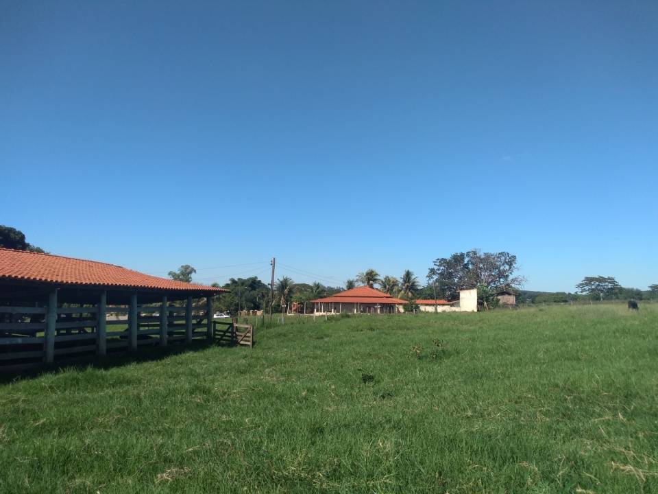 Sítio, à venda, 20.000 m², por R$ 810.000,00 - Zona rural - Fernandópolis/SP — foto 5