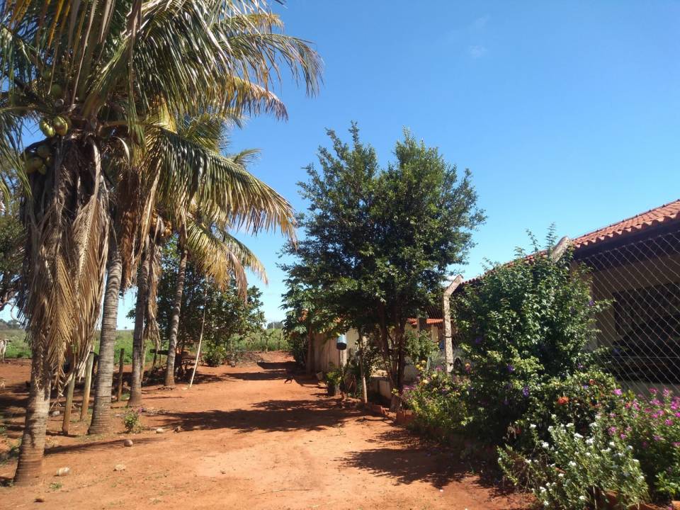Sítio, à venda, 20.000 m², por R$ 810.000,00 - Zona rural - Fernandópolis/SP — foto 2