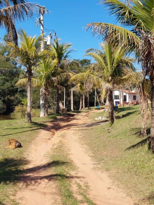 Sítio, à venda, 20.000 m², por R$ 850.000,00 - Zona rural - Caconde/SP — foto 4
