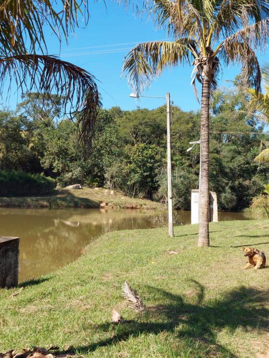 Sítio, à venda, 20.000 m², por R$ 850.000,00 - Zona rural - Caconde/SP — foto 5