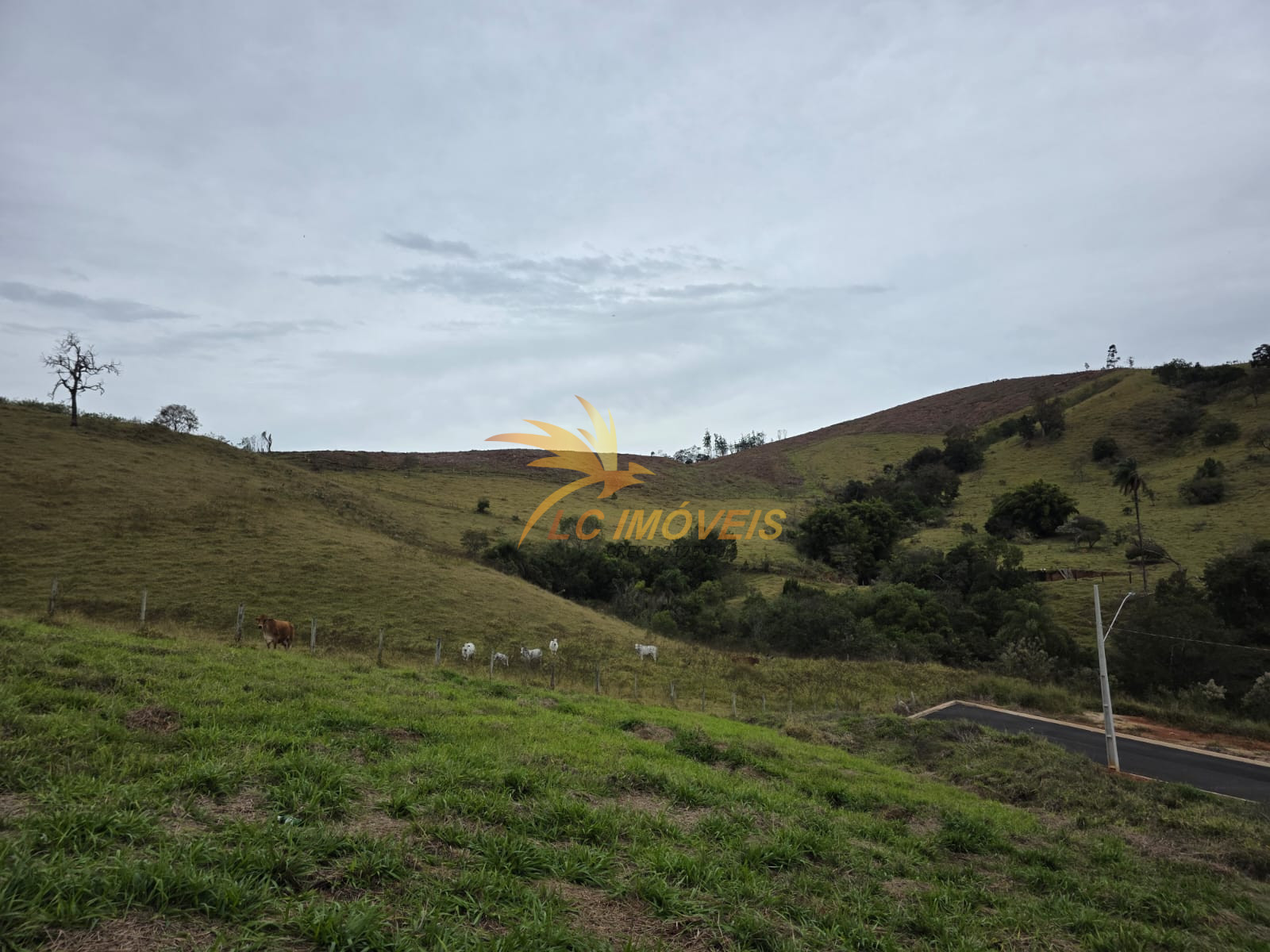 Terreno / Lote em Castelo