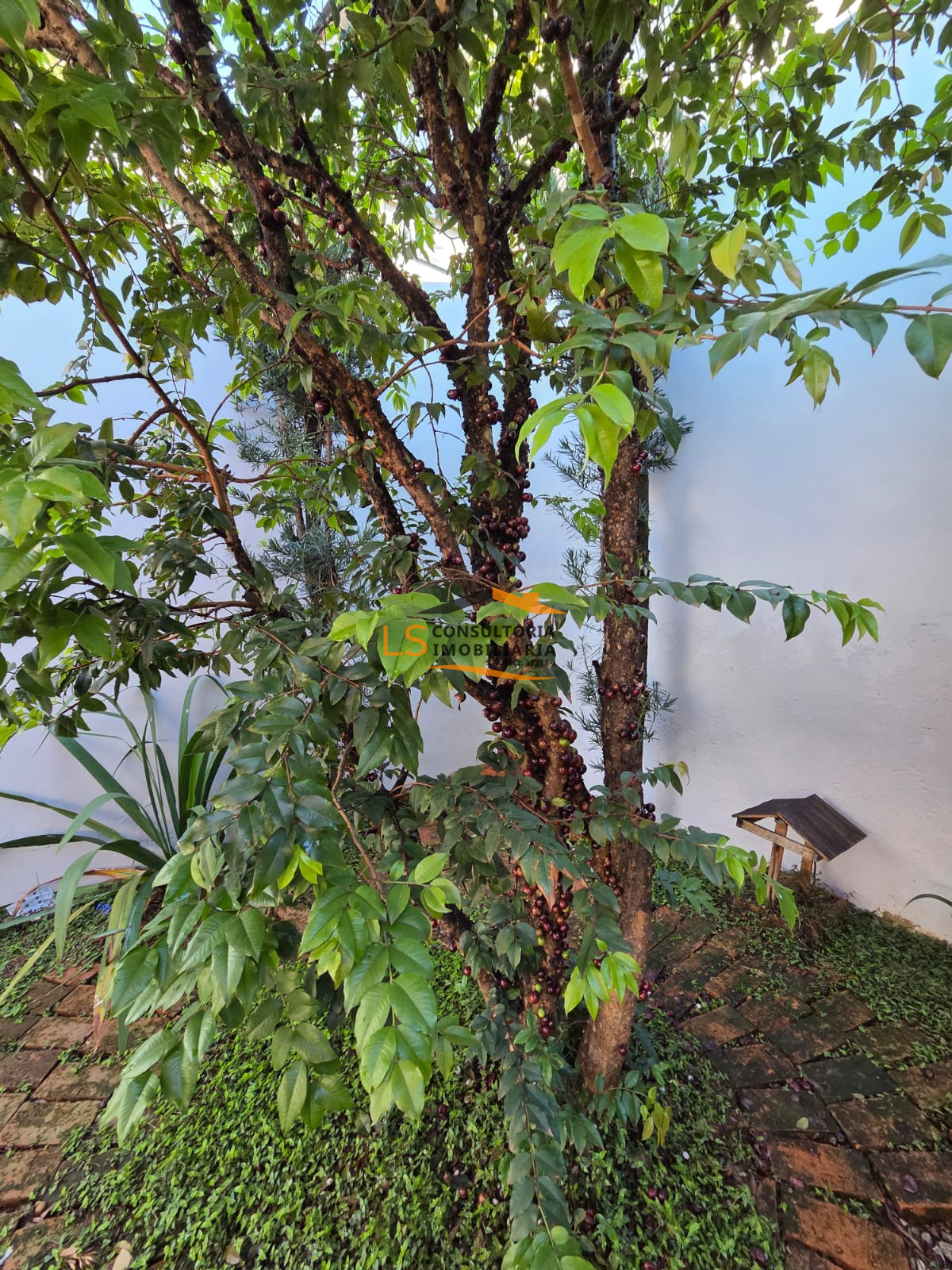 Casa com 3 dormitórios à venda, 250m² por R$ 799.000,00 - Jardim Cândido Bertini - Santa Bárbara D'Oeste/SP — foto 3