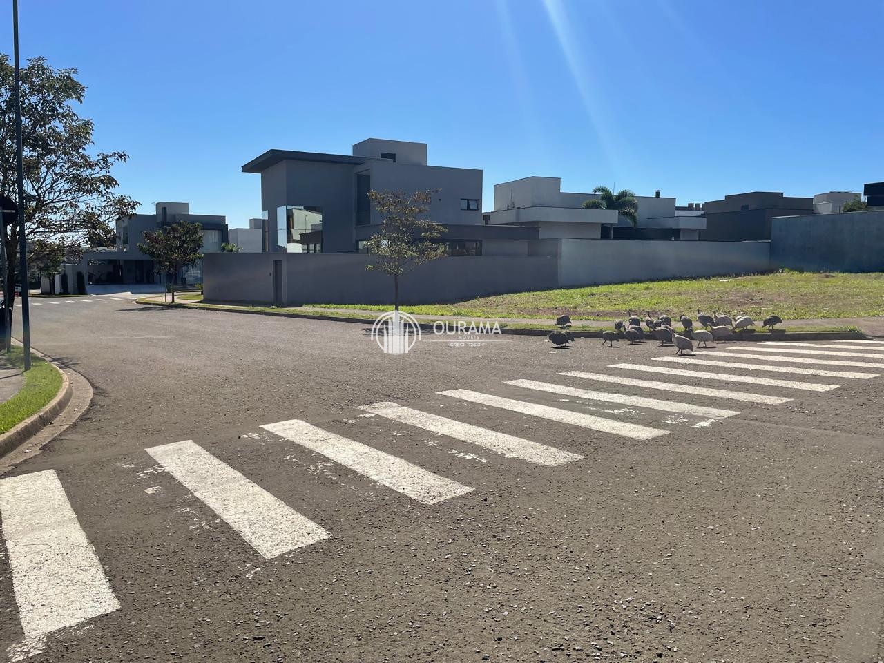 Terreno em condomínio à venda, 341m² por R$ 670.000,00 - pau brasil - Americana/SP — foto 4
