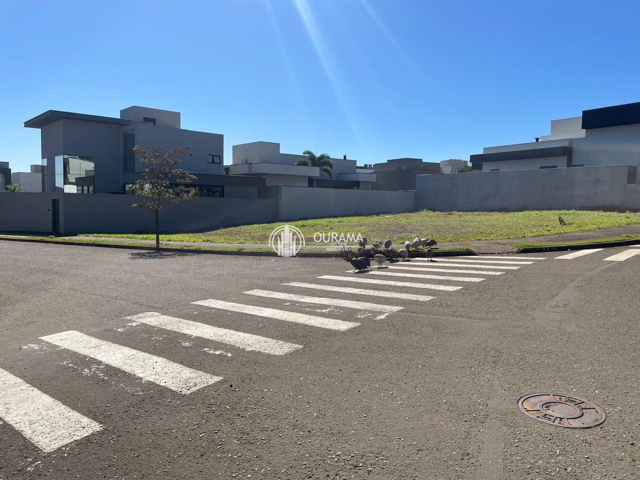 Terreno em condomínio à venda, 341m² por R$ 670.000,00 - pau brasil - Americana/SP — foto 5