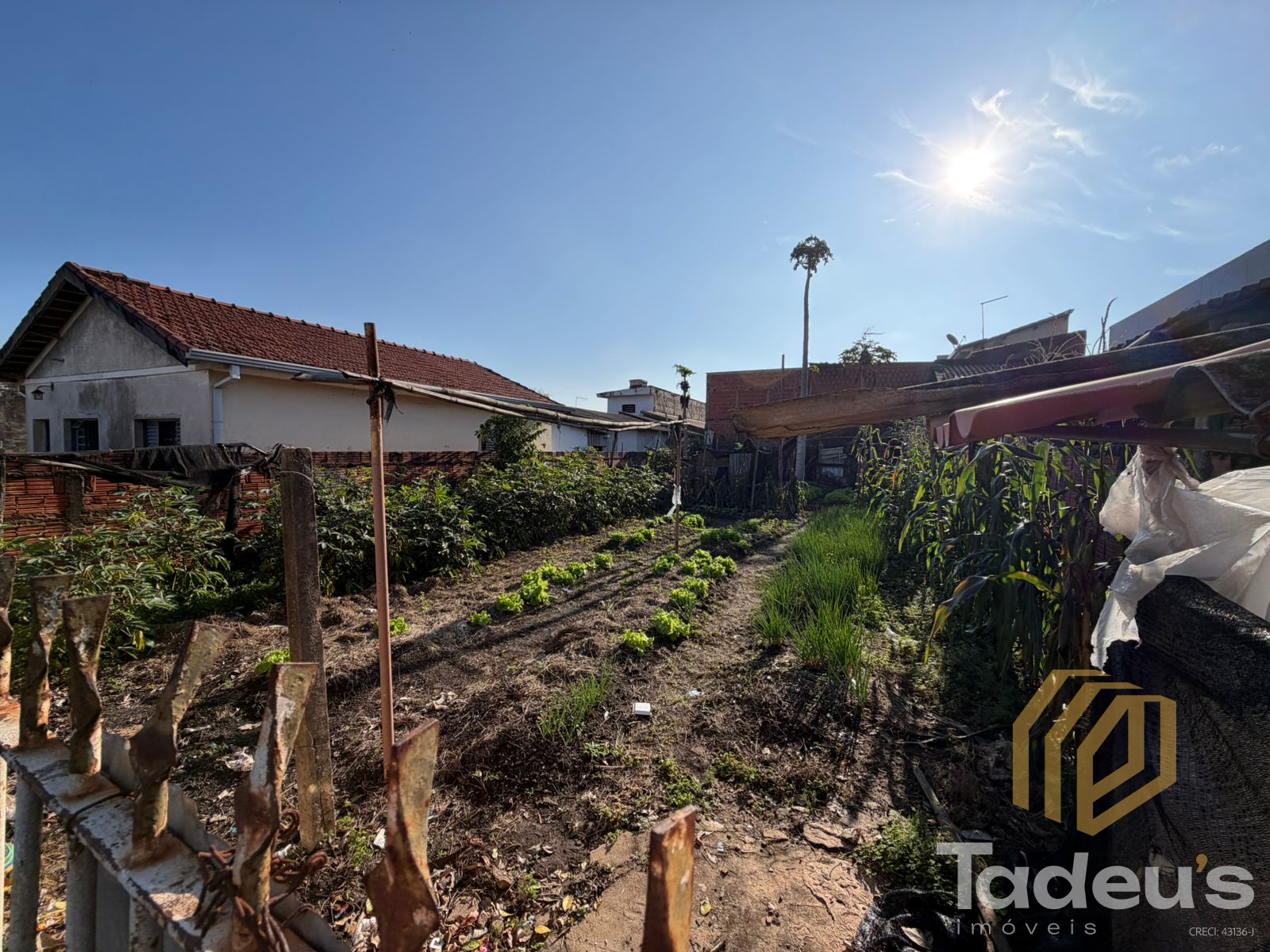 Terreno / Lote em Jardim Vista Alegre