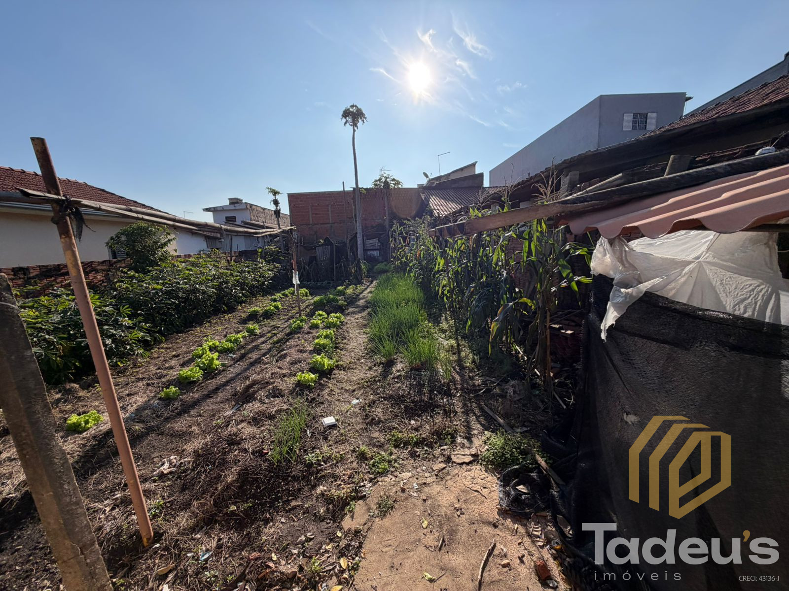 2 Meio Terrenos à venda, 125m² por R$ 150.000,00 - Jardim Vista Alegre - Santa Bárbara D'Oeste/SP — foto 3