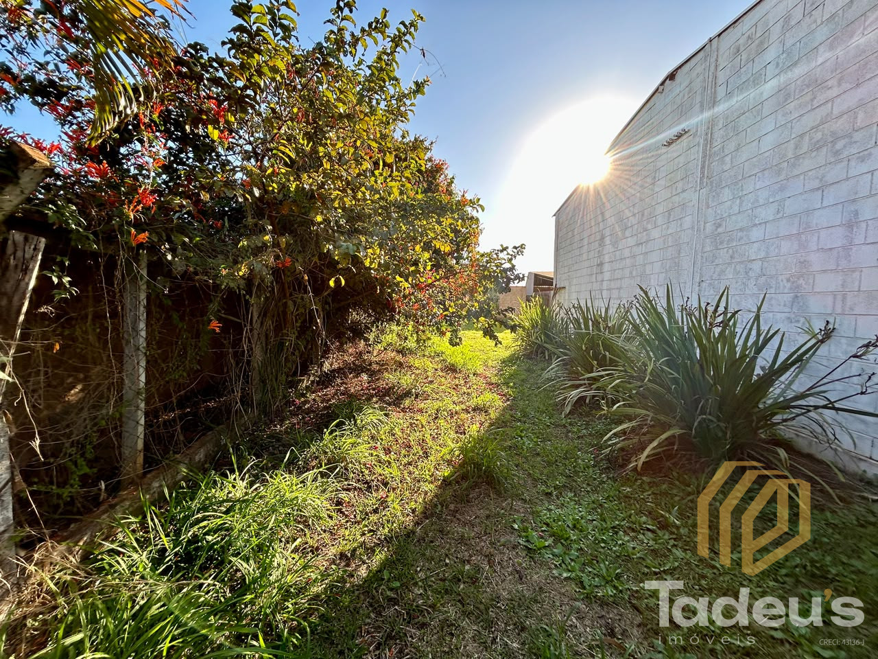 Salão Comercial com 200 m² em Terreno de 1.350 m² + 2 Casas e Área Gourmet, em Frente à Rodovia — foto 2