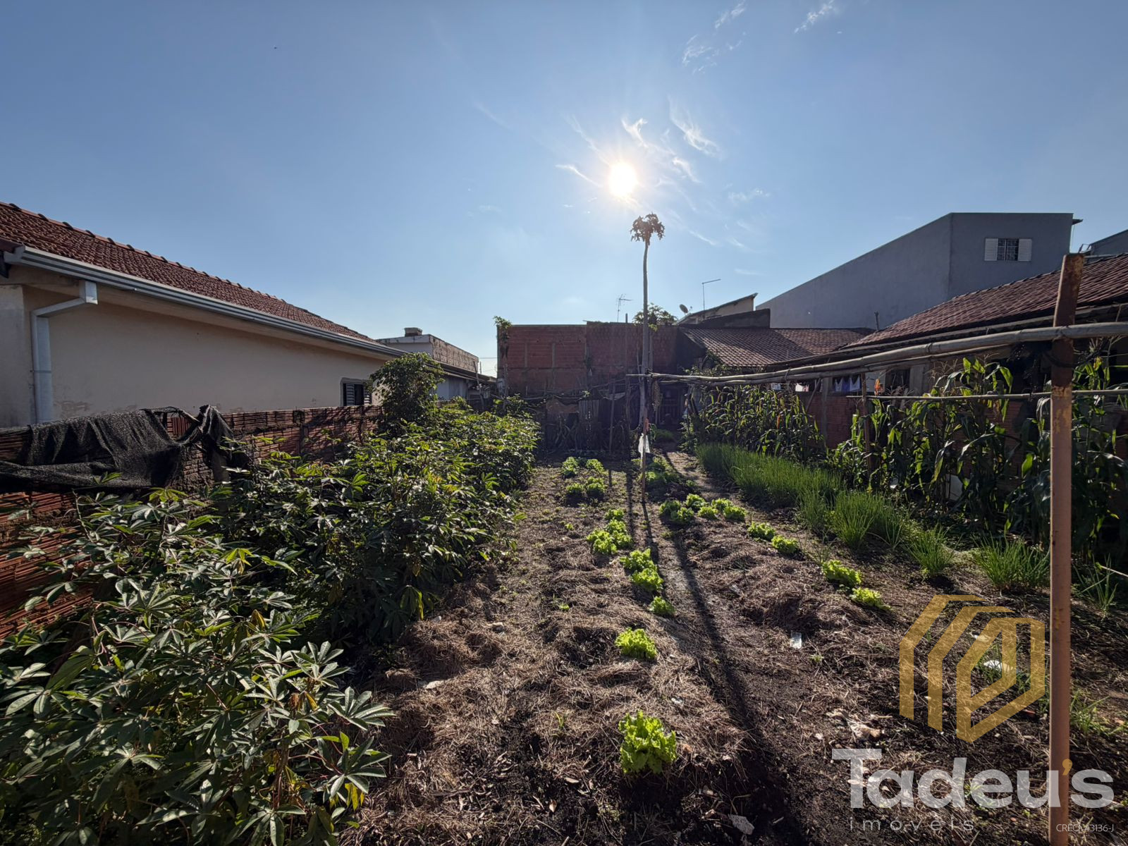 Terreno / Lote Inteiro à venda, 250m² por R$ 280.000,00 - Jardim Vista Alegre - Santa Bárbara D'Oeste/SP — foto 3