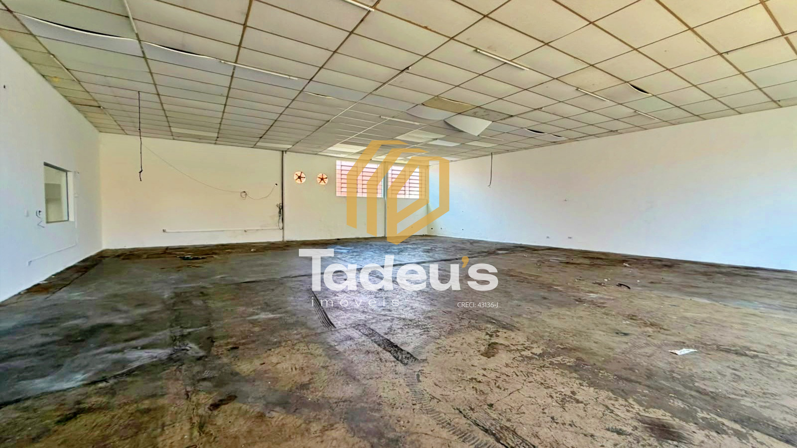 Salão Comercial / Loja para locação, 450m² por R$ 5.950,00/mês - Vila Boldrin - Santa Bárbara D'Oeste/SP — foto 5