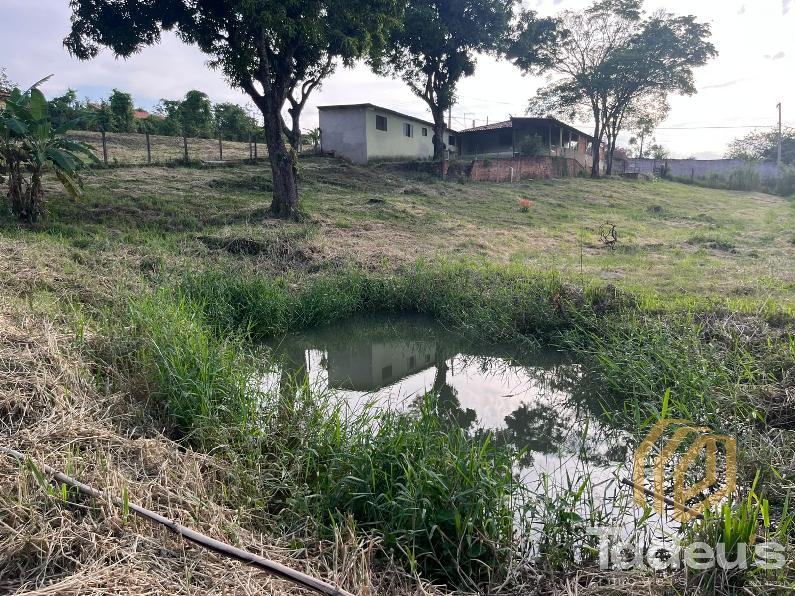 Chácara à venda, 2.640m² por R$ 550.000,00 - Glebas Califórnia - Santa Bárbara D'Oeste/SP — foto 3