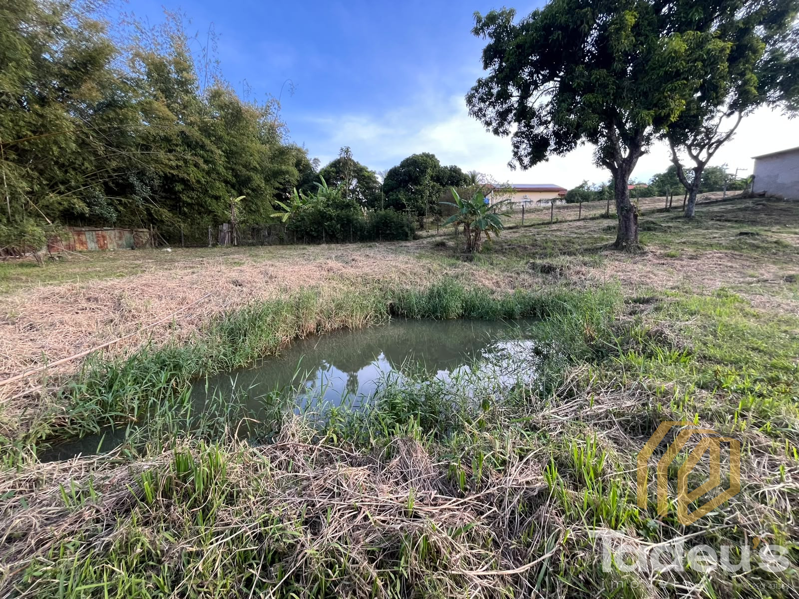 Chácara à venda, 2.640m² por R$ 550.000,00 - Glebas Califórnia - Santa Bárbara D'Oeste/SP — foto 4