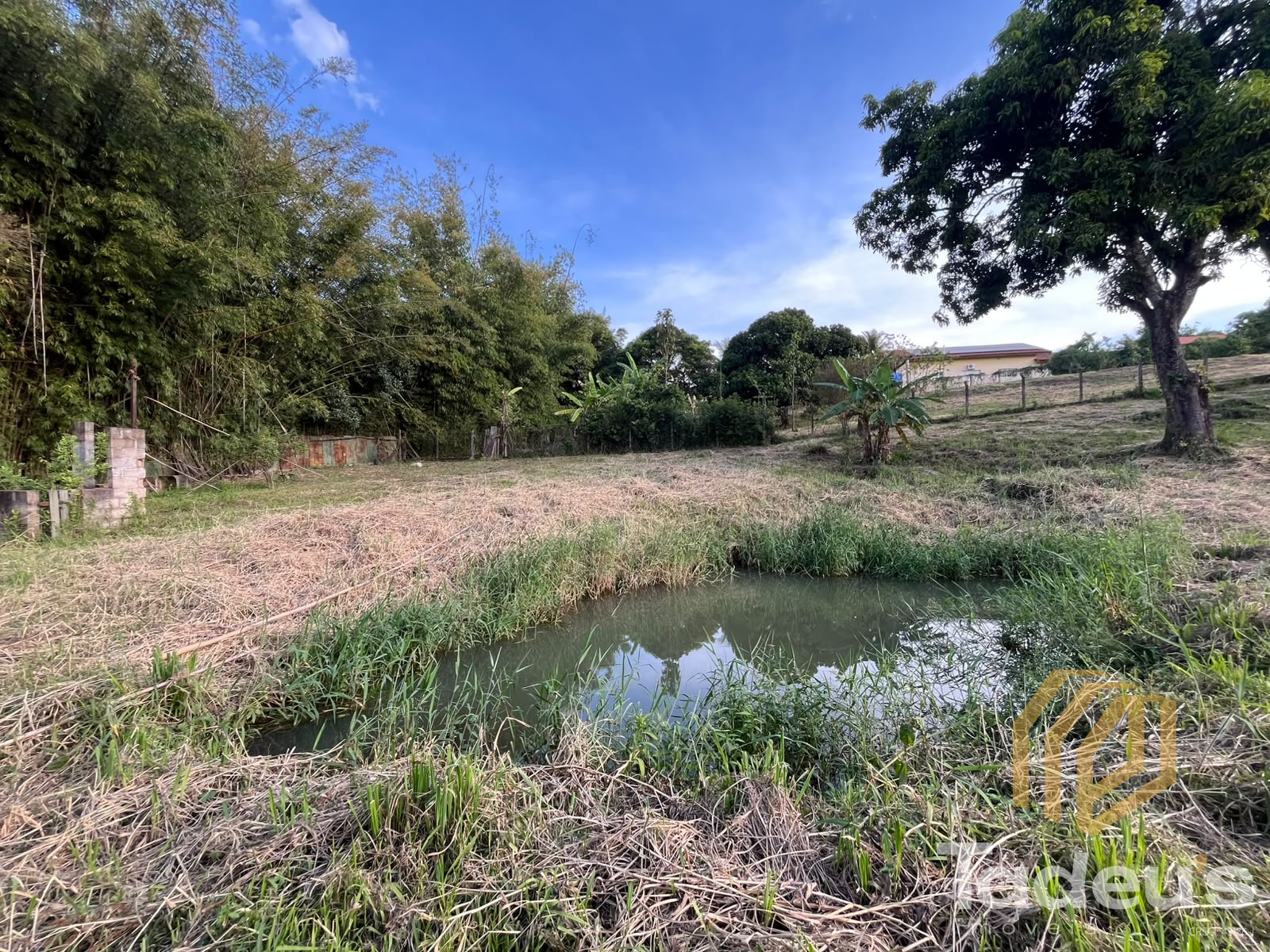 Chácara à venda, 2.640m² por R$ 550.000,00 - Glebas Califórnia - Santa Bárbara D'Oeste/SP — foto 5