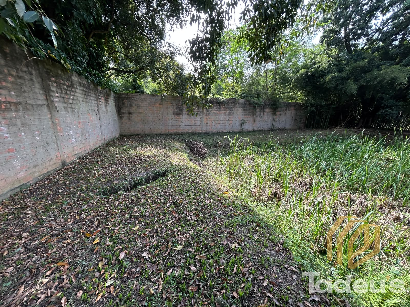 Chácara à venda, 1000m² por R$ 350.000,00 - Vale das Cigarras - Santa Bárbara D'Oeste/SP — foto 3