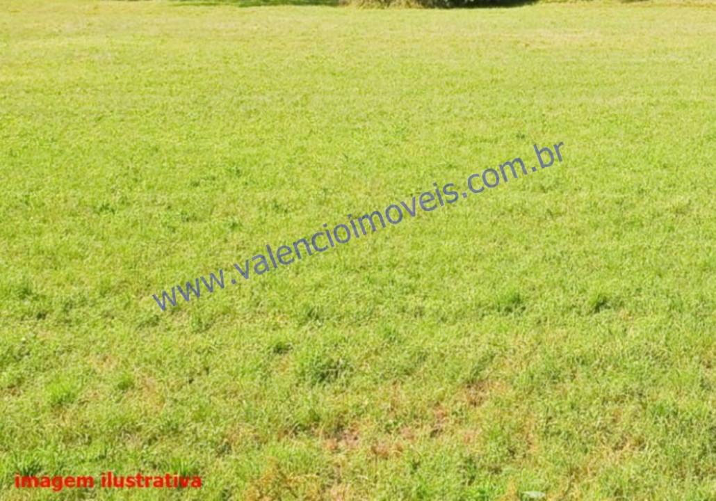 Terreno / Lote em Jardim Nielsen Ville